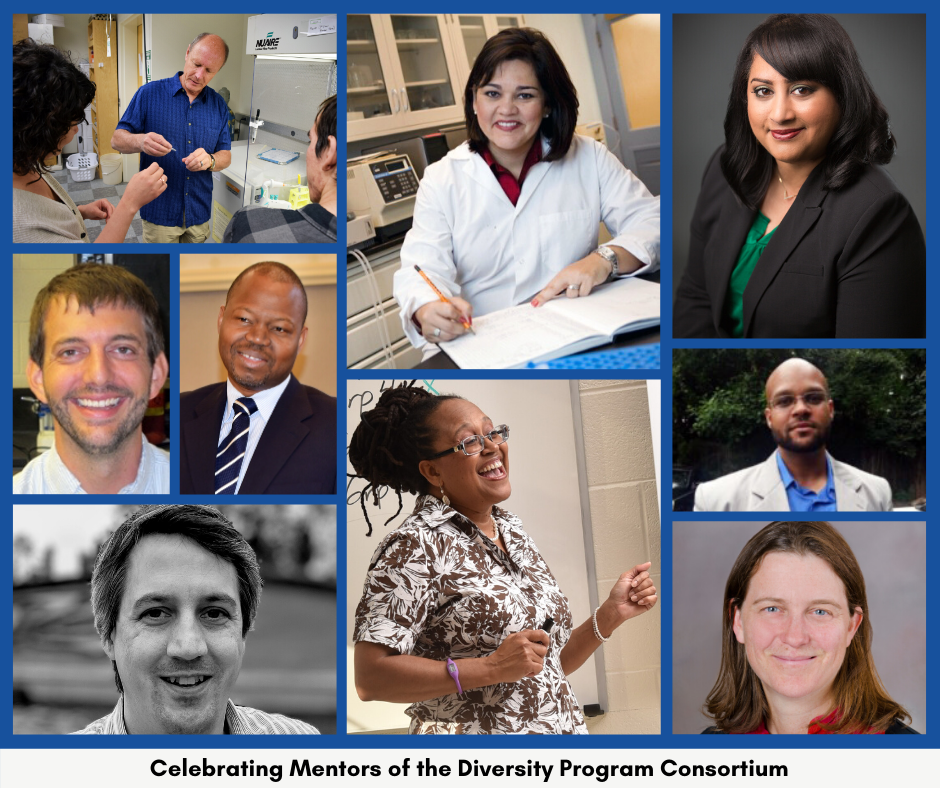 collage of mentors featured in this article about mentoring