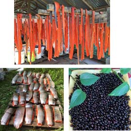 photos of subsistence food production, including processing and making salmon strips, salmon filets for freezing, and blackberries/crowberries