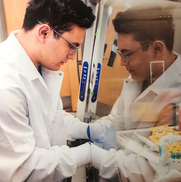 Daniel Dykes in Dr. Kuhn’s lab working to differentiate neuroblastoma cells from neuronal cells that had rounder bodies and longer dendrites, at the biomedical safety cabinet.